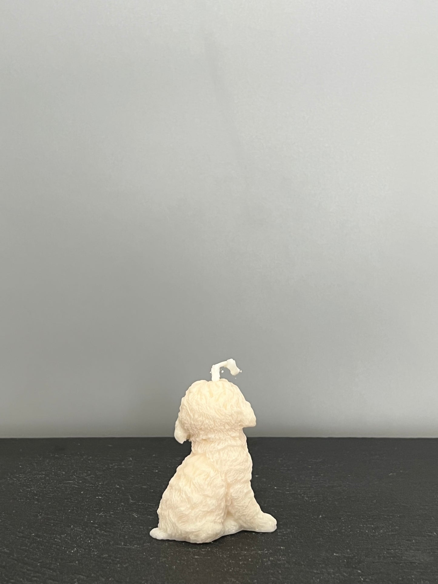 DOG CANDLE | Hundekerze